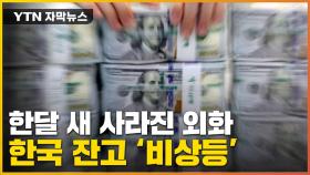 [자막뉴스] 한국 외화 보유액 '뚝뚝'...킹달러 '파장'