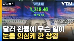 [자막뉴스] '세상에' 14년 만에 가장 큰 수준...킹달러의 폭락