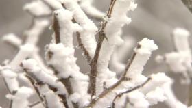 [날씨] 오늘 강추위 절정, 현재 서울 -8.1℃...서해안·제주 산간 눈