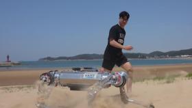 푹신한 모래사장 위도 걷고 뛰는 사족보행 로봇