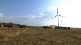 제주 '전력 출력제어' 132회로 급증...근본 대책 필요