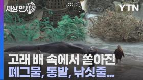 [세상만사] 죽은 향유고래 배에서 나온 끔찍한 것들