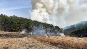부산 일광면 논·야산 화재...6천㎡ 태우고 진화
