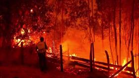 칠레 산불로 사망자 최소 23명...중남부 재난지역 선포