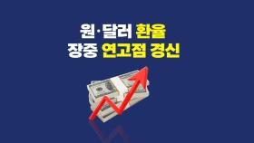 원·달러 환율 장중 연고점 경신...주요국 47개국 중 2위