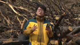 산불 발생 1년, 참혹한 피해 현장...대형 산불 '경계경보'