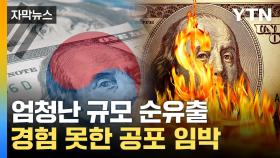 [자막뉴스] 대규모 외화 유출 공포...'경고음' 커진 원화 가치