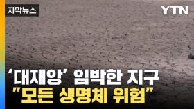 [자막뉴스] 