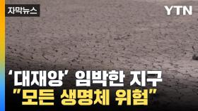 [자막뉴스] '대재앙' 임박한 지구의 경고 