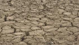 50년 만의 최악 가뭄 남부 지방...식수·농업용수 공급 비상