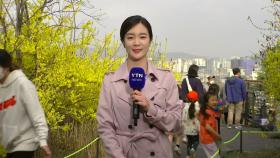 [날씨] 서울 등 곳곳 황사...따뜻한 날씨에 봄꽃 만발