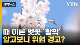 [자막뉴스] 역대 두번째 기록... 알고보니 생태계 위협 경고?