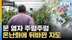[자막뉴스] 여기 한국 맞아요?...기후 변화로 늘어나는 현상