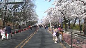 4년 만에 여의도 봄꽃축제...오늘부터 열흘동안 주변 교통 통제