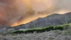 [속보] 충남 홍성 산불...'대응 3단계' 진화 총력전