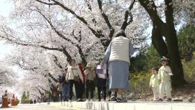 [날씨] 벚꽃 축제 '북적'...내일까지 고온 건조