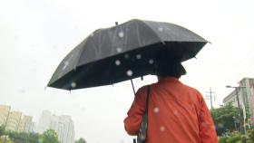[날씨] 전국 비 내리는 휴일...밤부터 충청 이남 강한 비