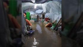 [전북] 익산에 200mm 넘는 폭우...비닐하우스 등 피해 잇따라