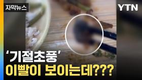[자막뉴스] 밥 먹다 '기절초풍' 검은 이물질...SNS에 퍼진 영상