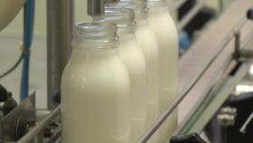 우유 원윳값 인상 협상 시작...'밀크플레이션' 우려
