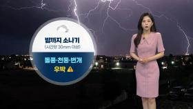 [날씨] 내일도 요란한 소나기...아침 안개 주의