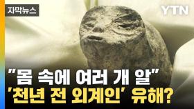 [자막뉴스] 