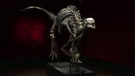 1억5천만 년 전 공룡 화석 경매 출품...