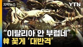 [자막뉴스] 