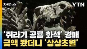 [자막뉴스] 쥐라기 시절 공룡 화석이 경매에? 금액 봤더니 '상상초월'