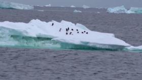 줄줄 녹는 남극 바다 얼음...올겨울 면적 역대 최소치
