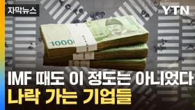 [자막뉴스] 한국 빚 '심각한 수준'...무더기 도산 공포 엄습