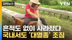 [자막뉴스] 