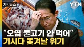 [자막뉴스] 정권 붕괴 위기...日 기시다 조여오는 '아오키의 법칙'