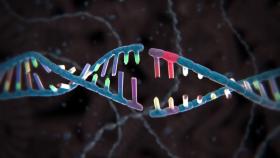 '인간 게놈' 보물창고 열렸다...난치병 치료 길 열려