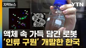 [자막뉴스] 암세포 찾아 자율주행...세계 최초로 만든 '나노 로봇'