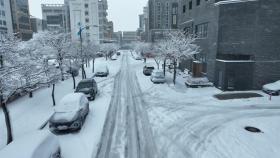 [날씨] 서울에 13cm 눈, 영동 대설경보...산발적 눈 계속