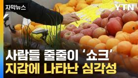 [자막뉴스] 사과 비싸 귤 집었는데...상황 얼마나 심각한지 드러났다