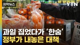 [자막뉴스] 천정부지 과일값에 '한숨'...정부가 내놓은 대책
