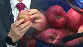 [뉴스라이더] '금사과·금귤' 치솟는 과일값...대체 어디까지 오르나?