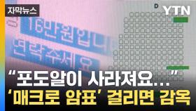 [자막뉴스] '아이유·임영웅도 나서'...'매크로 암표' 걸리면 감옥행?