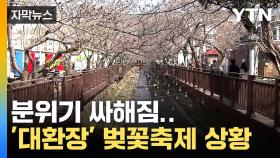 [자막뉴스] 이럴 수가...너무나 민망한 벚꽃축제 현장