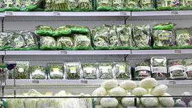 [뉴스라운지] 치솟는 과일·채소 가격...정부 