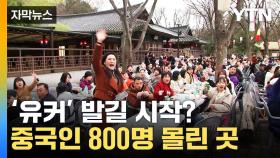 [자막뉴스] '유커' 발길 시작?...중국인 800명 몰린 곳