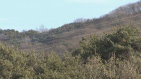 [날씨] 맑고 따뜻, 주말∼휴일 초여름 더위...산불 비상