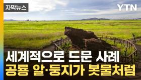 [자막뉴스] 지질학 교과서 그 자체...한국의 '세렝게티' 주목