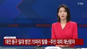 [속보] 대전 동구 일대 맹견 70마리 탈출...주민 대피 재난문자