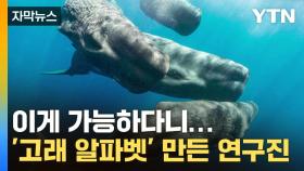 [자막뉴스] '고래어' 찾아낸 연구진...