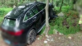 가족 탄 SUV가 나무 들이받아...2명 사망·2명 경상