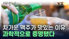 왜 맥주는 차가워야 맛있을까?...中 연구진, 비밀 풀어냈다 [지금이뉴스]