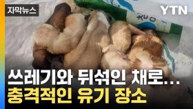 [자막뉴스] 위기 넘겨... 강아지 유기 용의자 추적